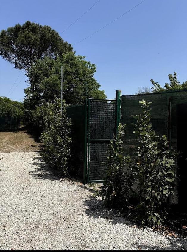 Сasa de vacaciones Appia Antica Giardino Parcheggio Fermata Bus 4 Ospiti *
